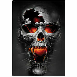 Uzlīme - Ugunīgs galvaskauss 15x21,5cm